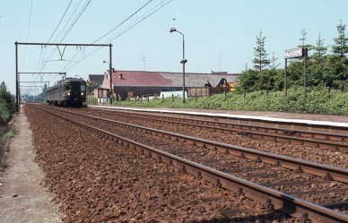 Haasdonk - TH 82-4061.jpg
